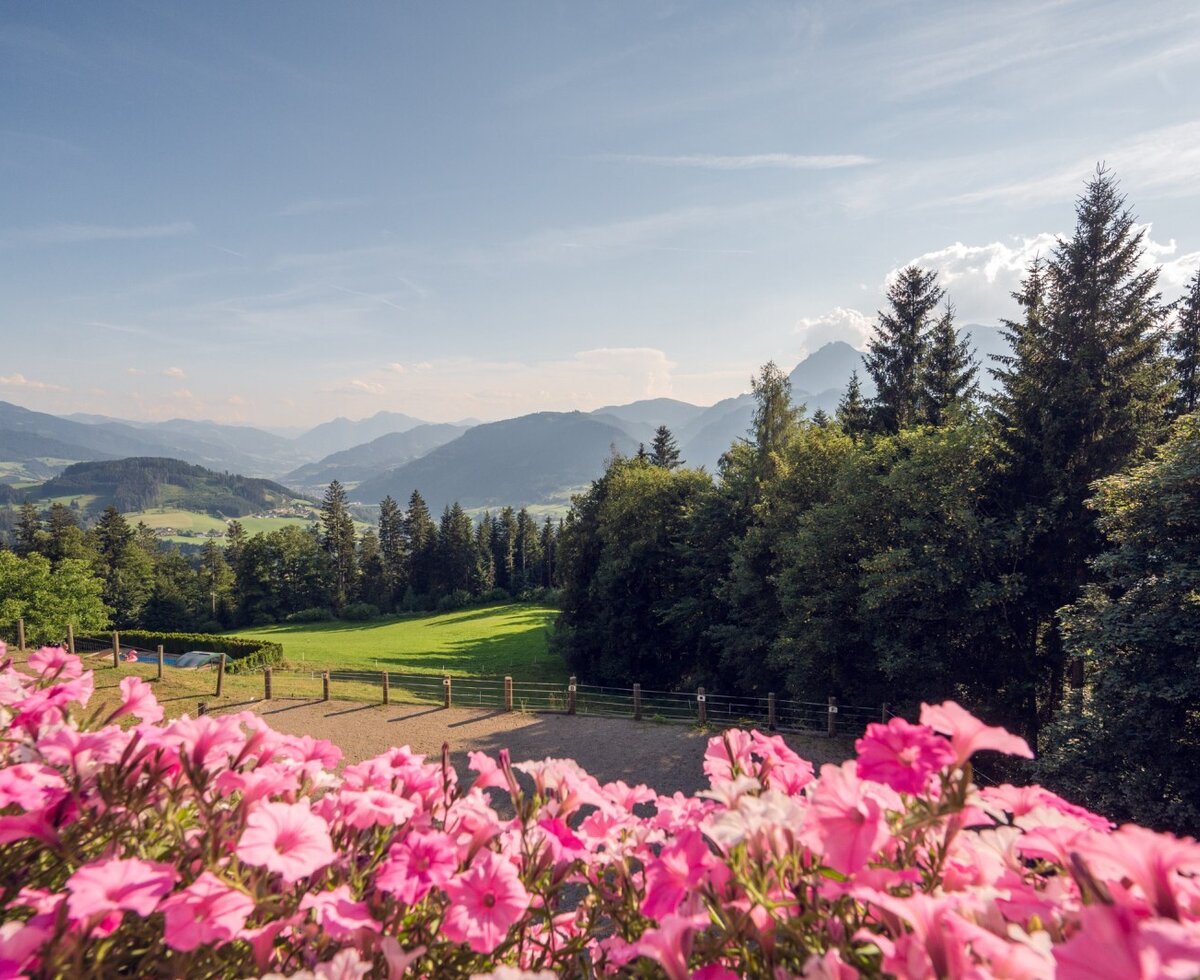 Mountain and valley views from the Farm House, featuring a fenced field and pink flowers in the foreground.