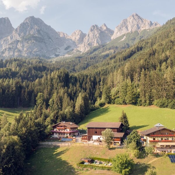 The farmhouse and its buildings are nestled in green meadows, surrounded by forests and mountains.