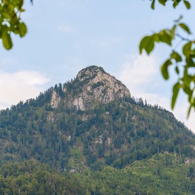 Mountain view featuring densely forested slopes and a rocky summit, part of the farmhouse's natural surroundings.