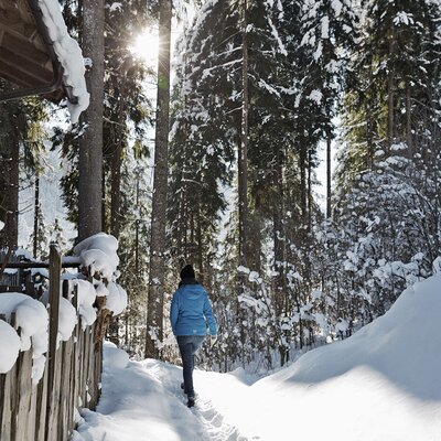 Pure nature around the holiday village