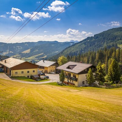 The farmhouse exterior, featuring multiple buildings, is nestled among grassy fields with forests and mountains in the background.
