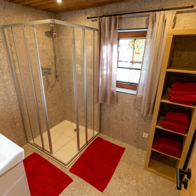 Bathroom in the Bed and Breakfast with a shower cabin, sink, and a wooden shelf with towels.