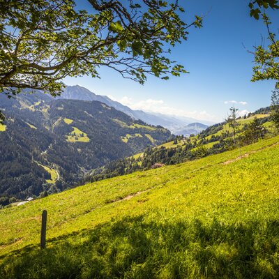 View of the green mountain landscape with forested valleys and distant slopes surrounding the Farm House.