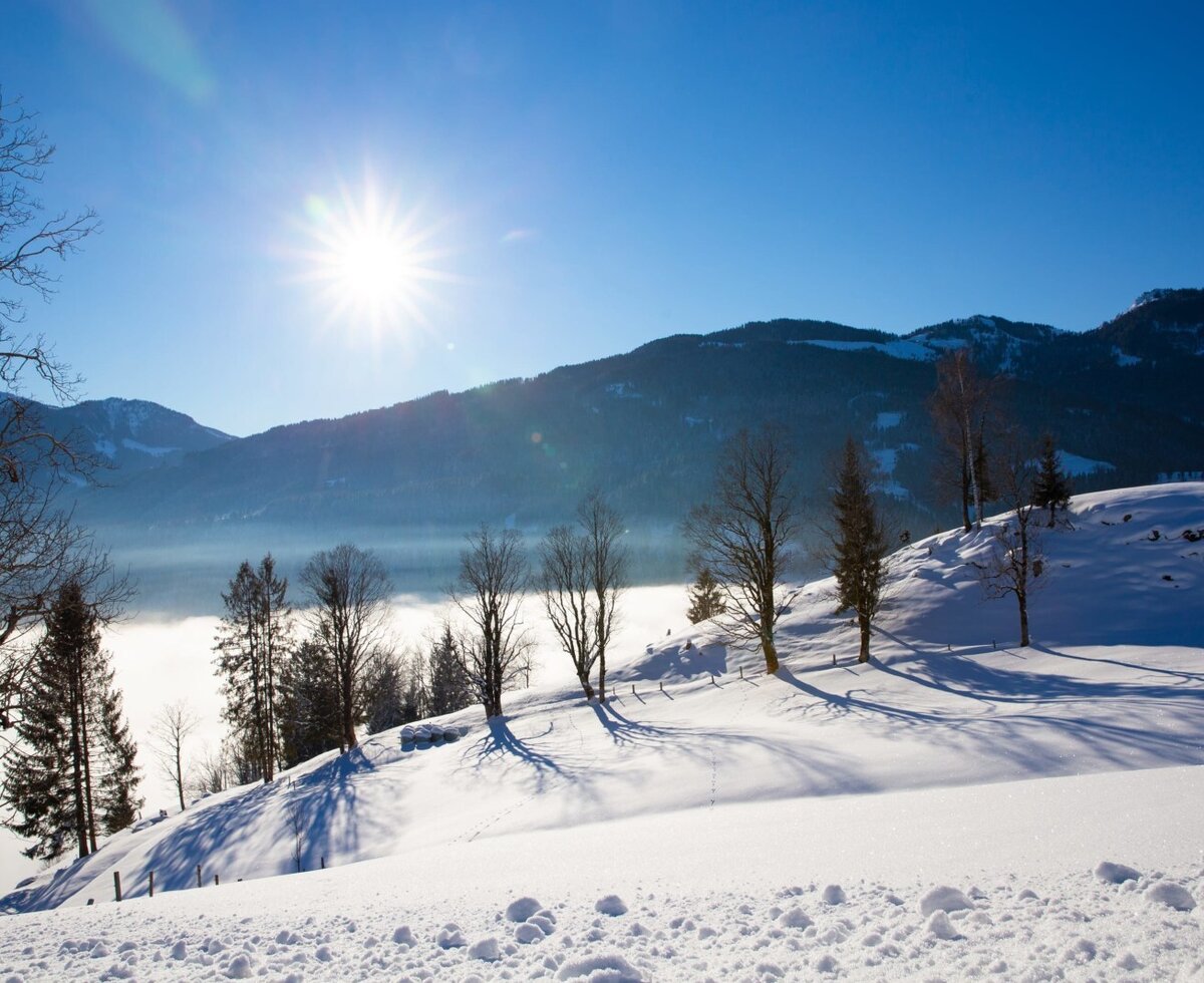 The snowy surroundings of the Farm House, featuring bare trees on hills, distant mountains, and a fog-filled valley under a clear, sunny sky.