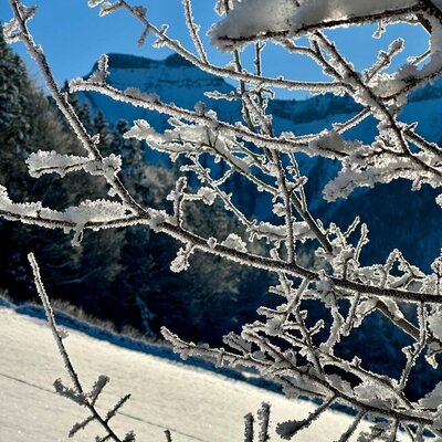Frost-covered branches with a view of the snowy landscape and the Schmittenstein mountain from the holiday home.