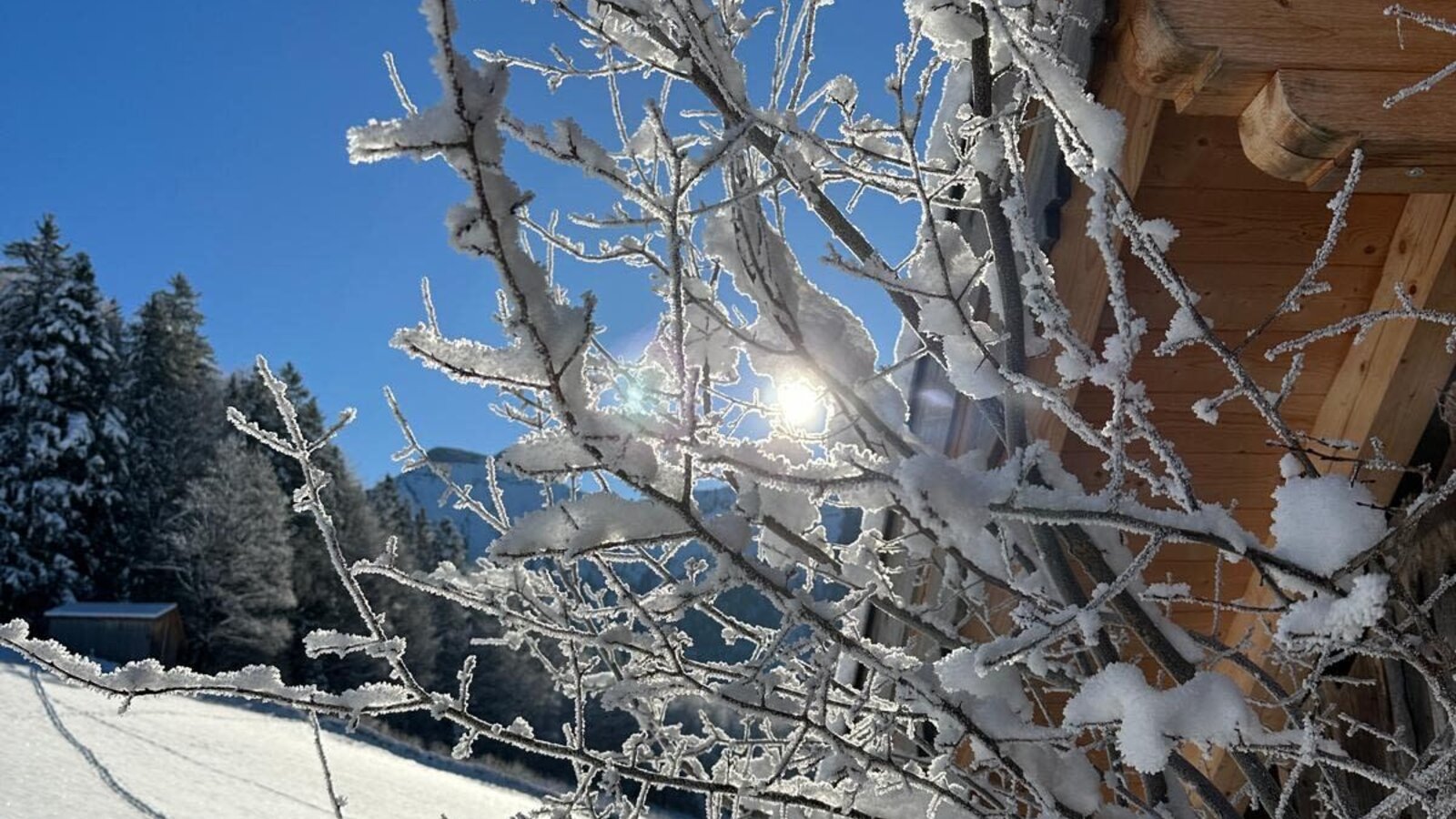 Sunny winter day with snow-covered branches and a part of the holiday home.