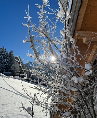 Sunny winter day with snow-covered branches and a part of the holiday home.