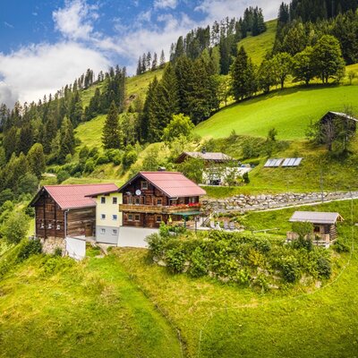 The Alpine Hut, featuring traditional wooden architecture with red roofs and balconies, is set into a lush green mountainside among evergreen trees.