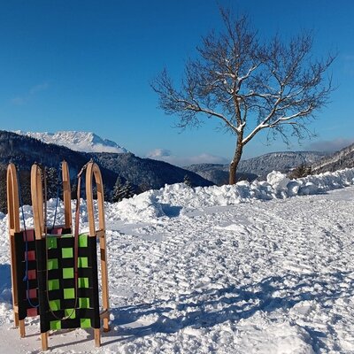 Sleds are waiting for you.