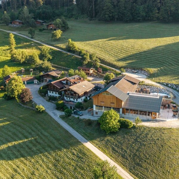 An idyllic farmhouse surrounded by sprawling, lush green meadows in the warm sunlight.