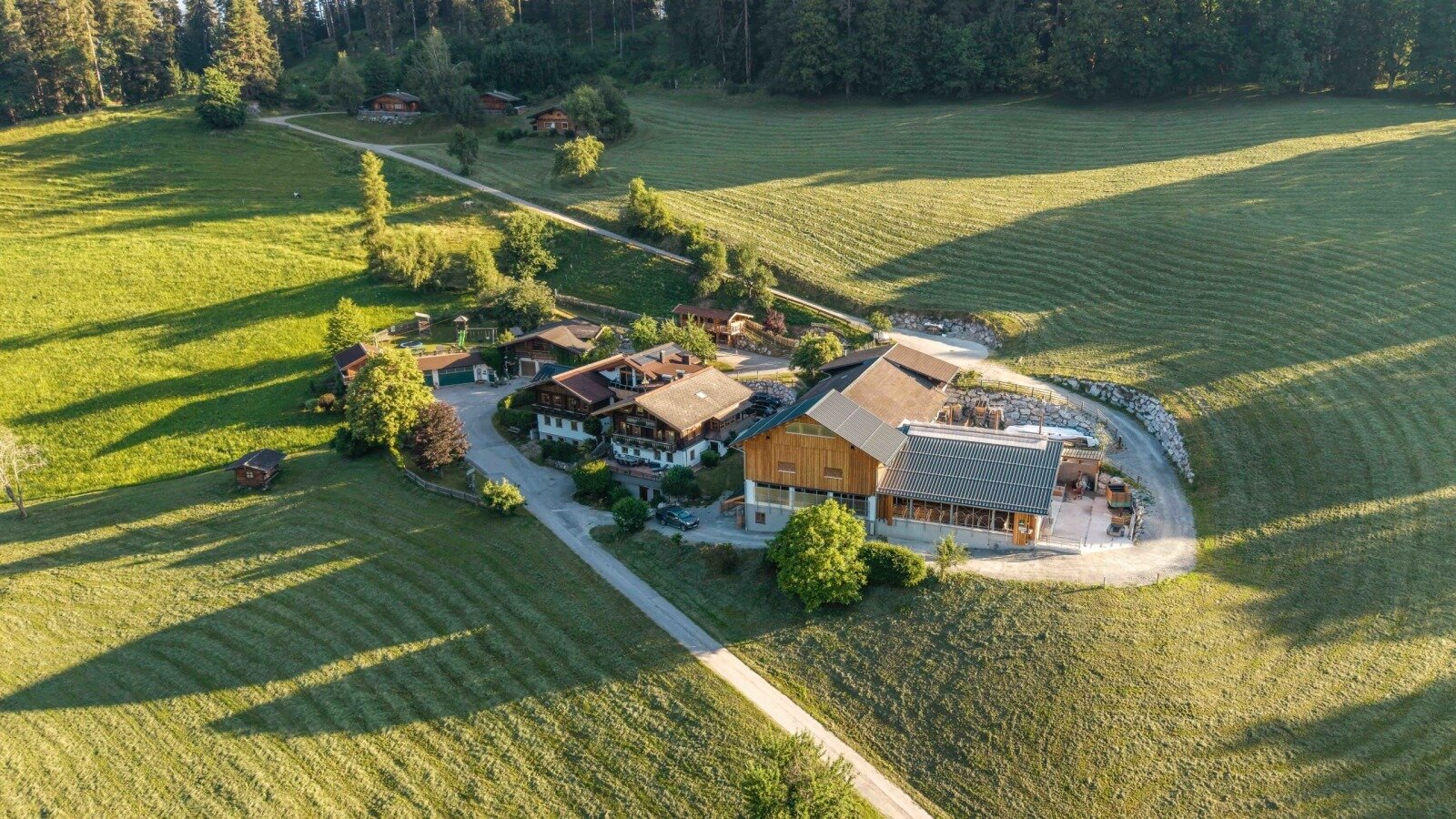 An idyllic farmhouse surrounded by sprawling, lush green meadows in the warm sunlight.