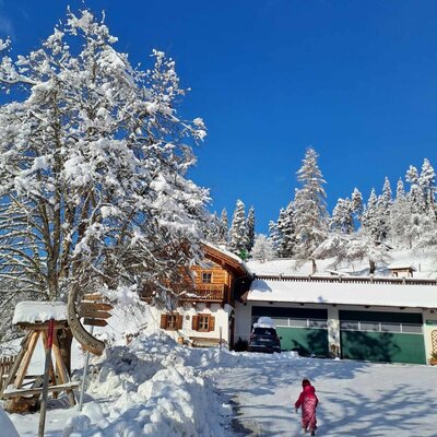 winter leitengut