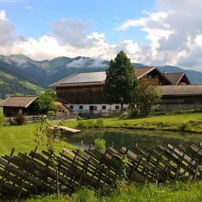 The farm house features a pond and green lawn with mountains in the background, and solar panels visible on the main roof.