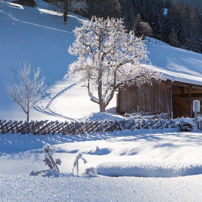 The snowy winter landscape surrounding the Farm House, featuring frosted trees and a traditional wooden outbuilding.
