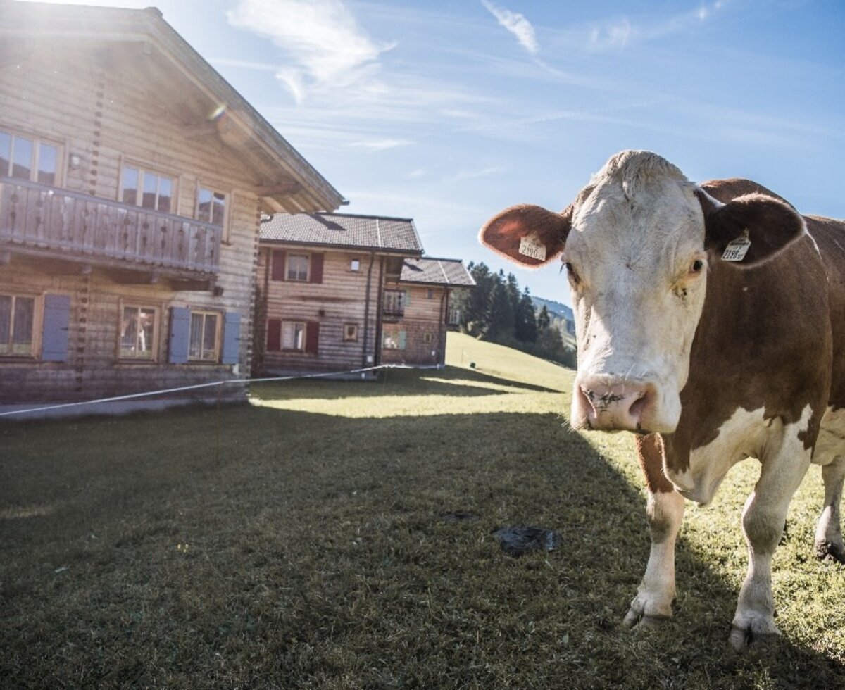Farm holiday Holiday Farm Oberreit