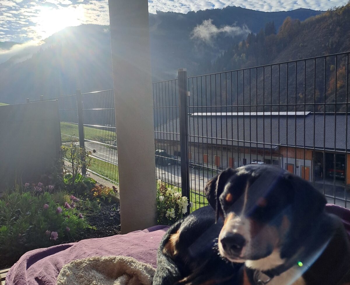 Outdoor terrace at the farm house with mountain views, featuring a dog on a blanket.