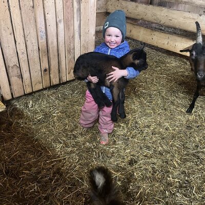 A child holding a baby goat in the barn at the Farm House.