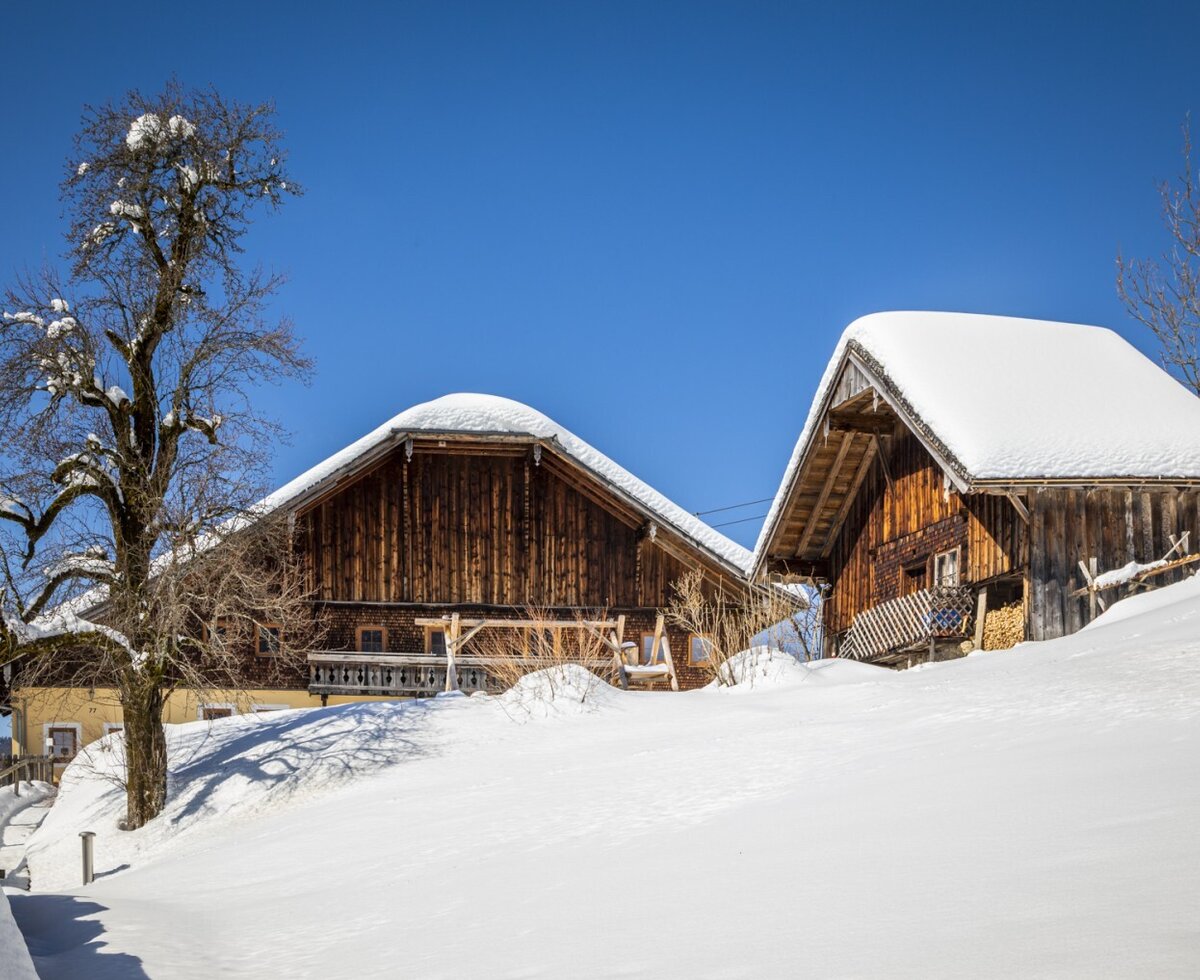 The exterior of the farm house, featuring traditional wooden architecture and snow-covered roofs, is set against a clear blue sky in a winter landscape, with an adjacent outbuilding.