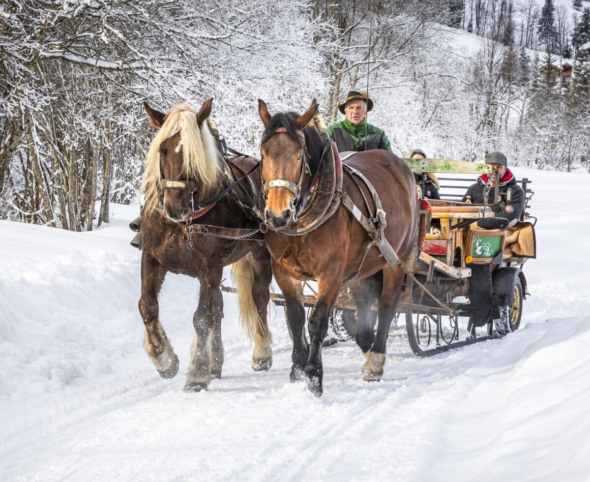 horse sleigh ride Griesbauer