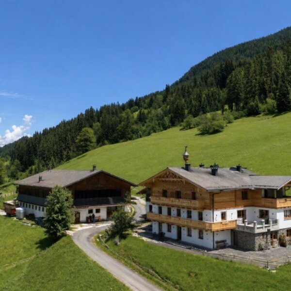 Exterior view of the farmhouse with its apartments, surrounded by green meadows and forested mountains.