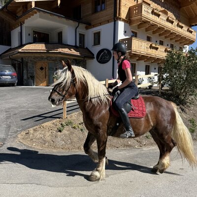 Julia with Noriker mare Safira