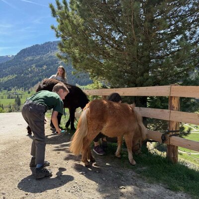 Children interacting with ponies at the farmhouse, surrounded by nature and mountains.