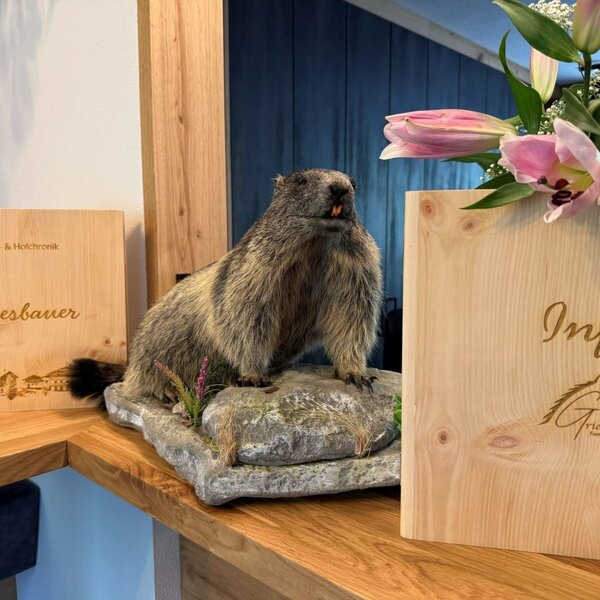 Decoration at the farmhouse featuring a marmot, information binders, and flowers.