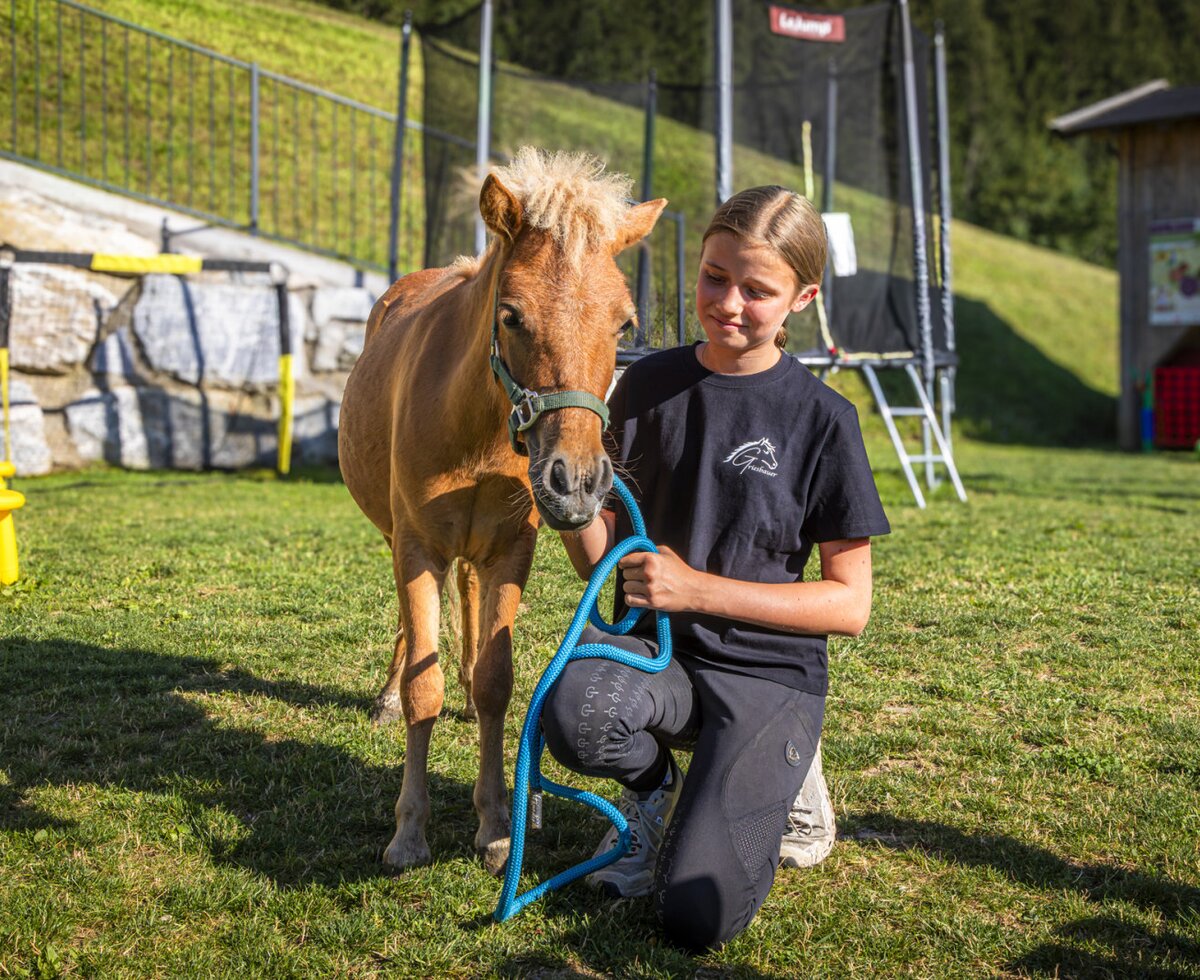 A gentle pony on the farmhouse's green lawn, perfect for memorable family moments.