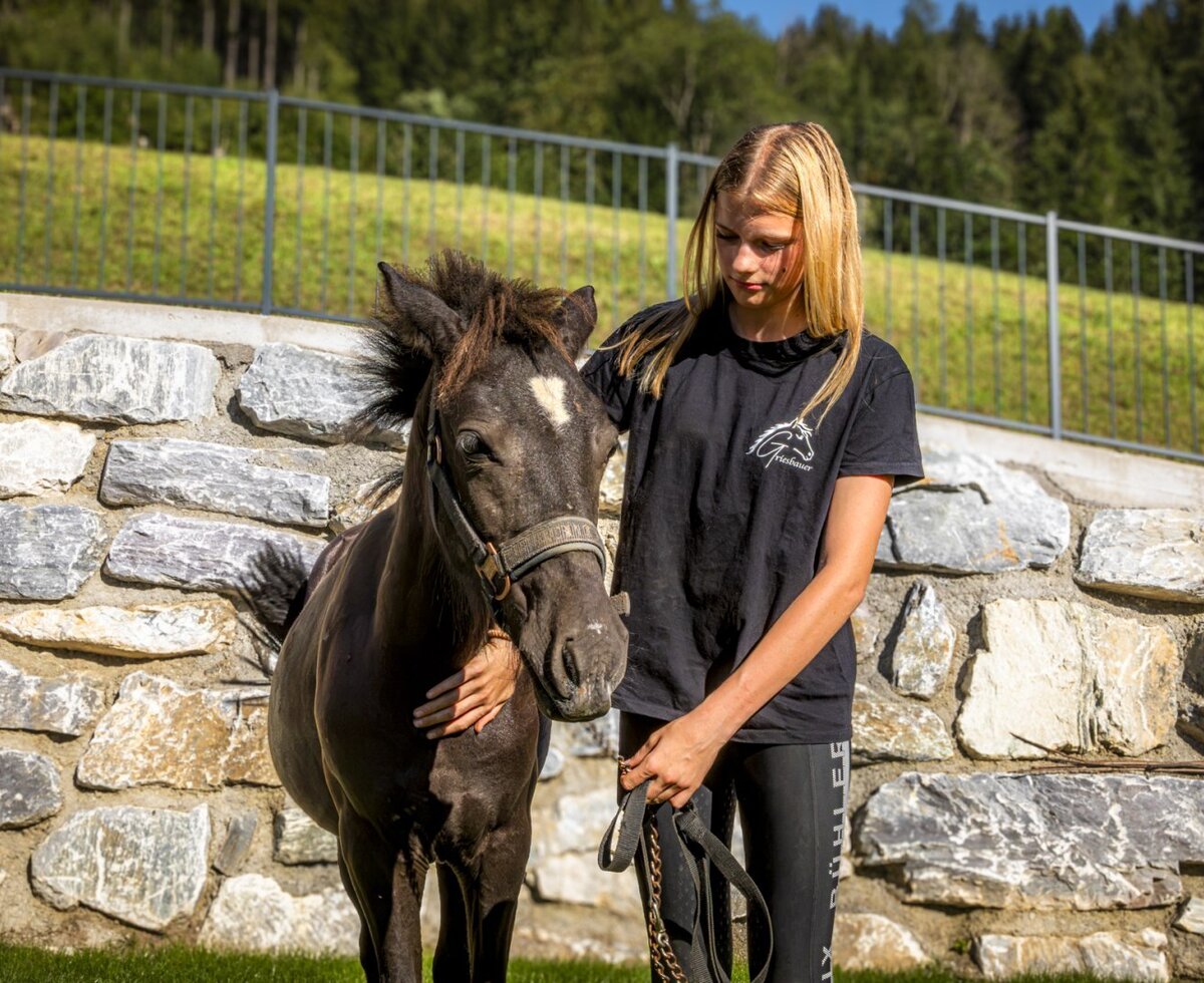 A friendly pony at the farmhouse, surrounded by lush green nature.