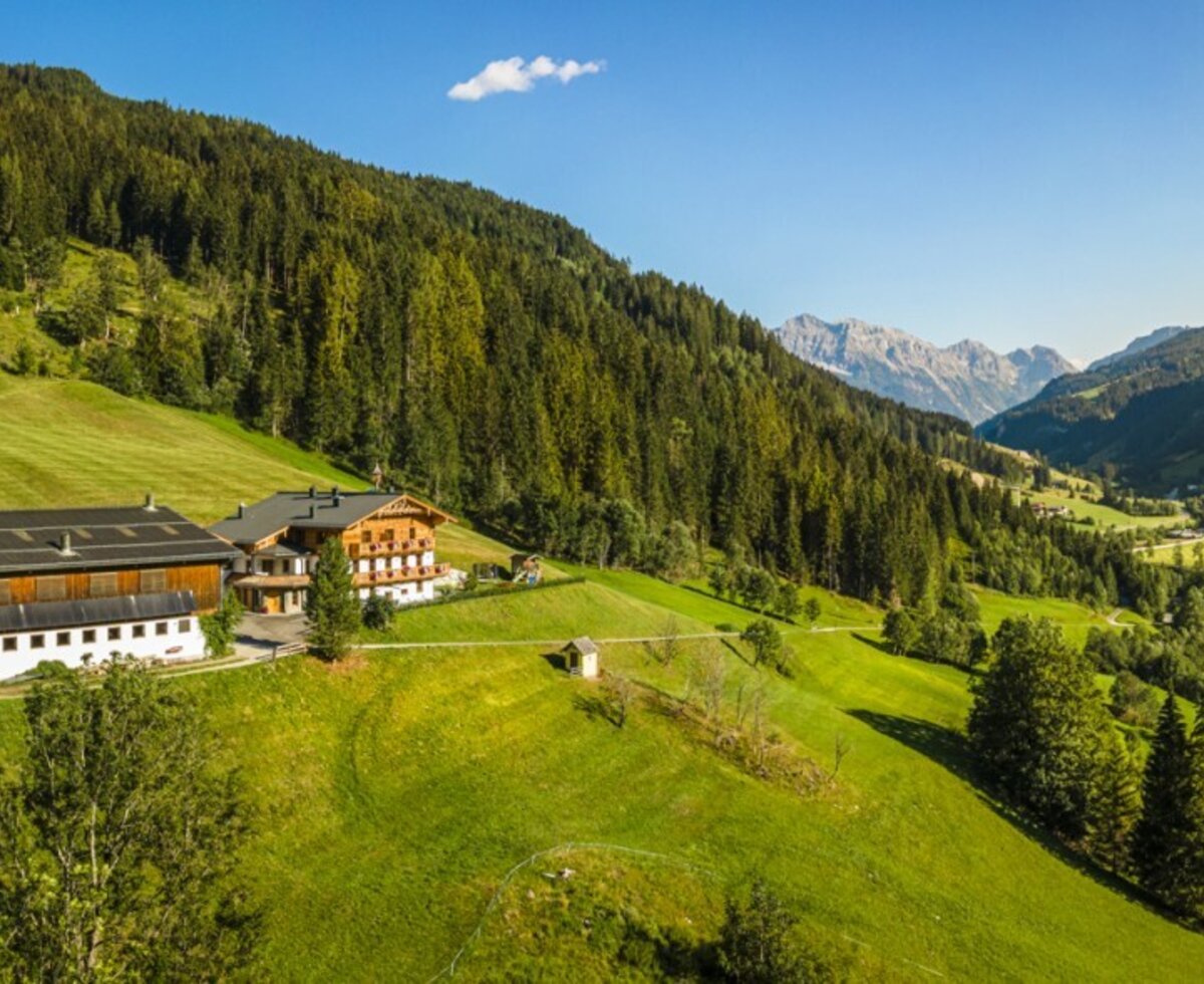 An inviting Bauernhof nestled in lush green meadows and forested hills with scenic mountain views.
