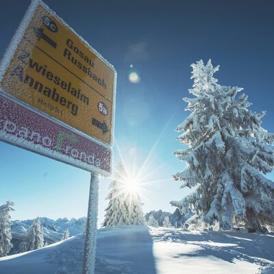 Snowy signpost in the Dachstein West ski area, pointing to Russbach among other destinations, with snow-covered trees and winter sun.