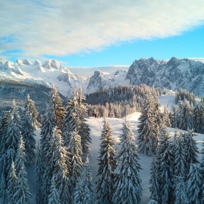 Winter landscape with snow-covered pine trees and mountains in the Dachstein West ski area.