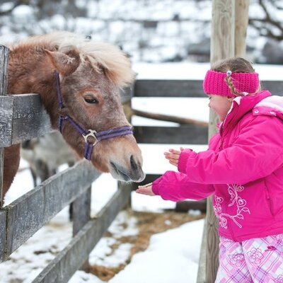 A child interacts with a pony by a wooden fence at the Farm House, set against a snowy landscape.
