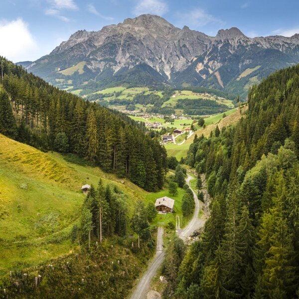 Scenic view overlooking the lush green valley and majestic mountain peaks.