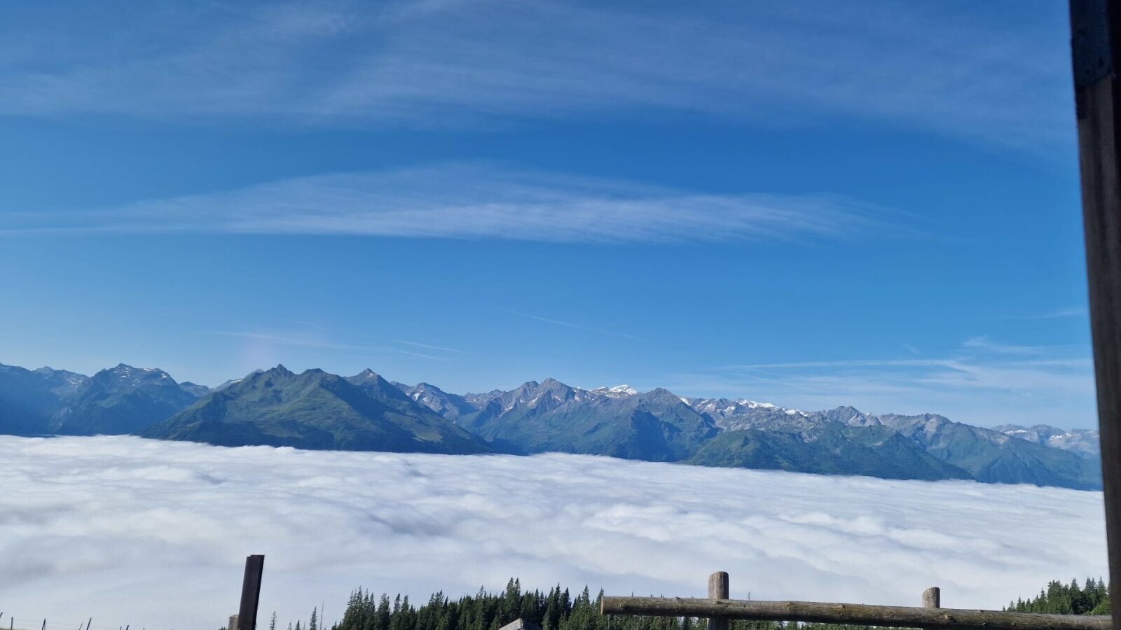 View from the Alpin Hut of mountains above a sea of clouds, with green meadows in the foreground.