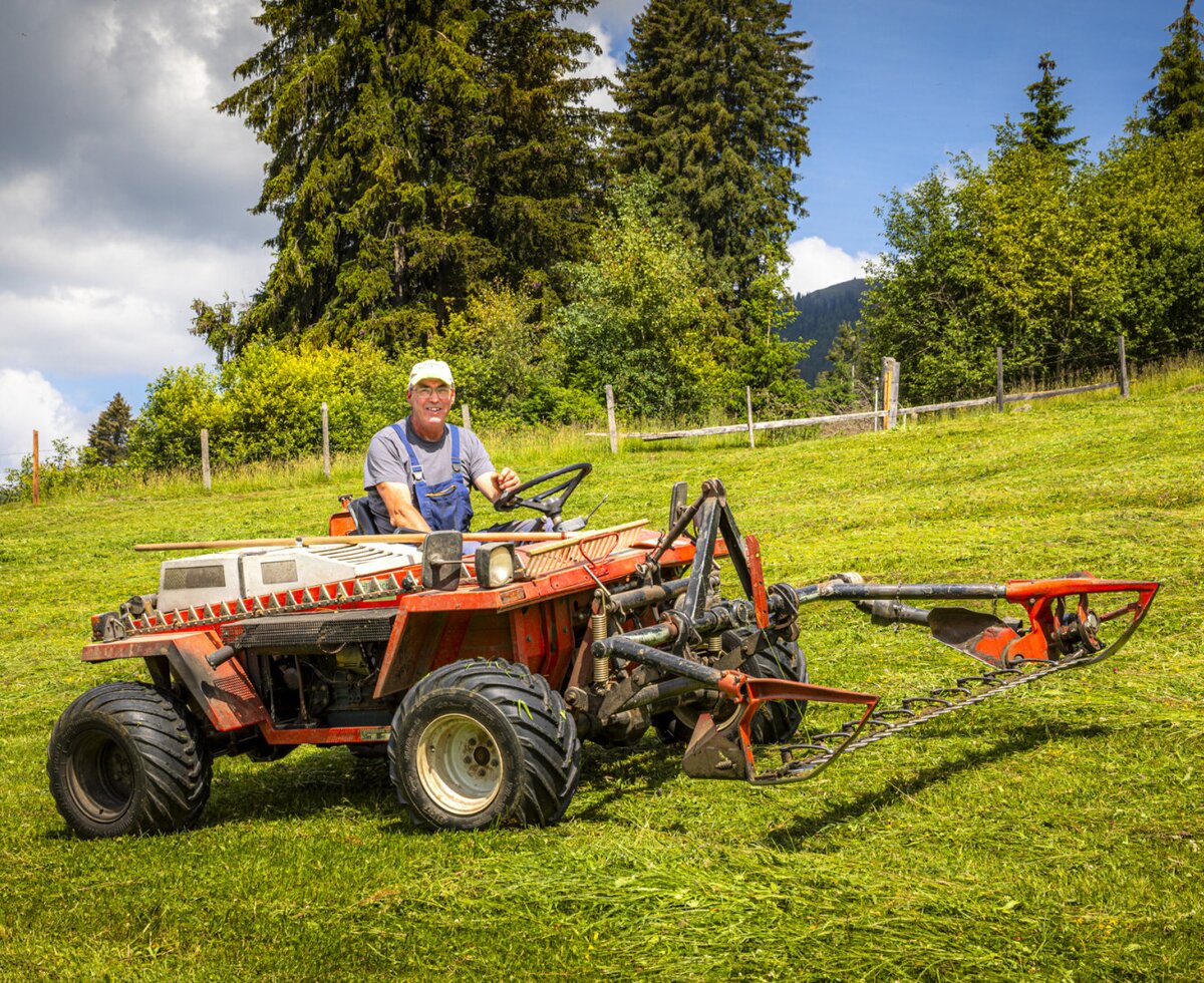 Traditional farming work at the bed and breakfast, featuring a mountain mower on the lush green meadows.