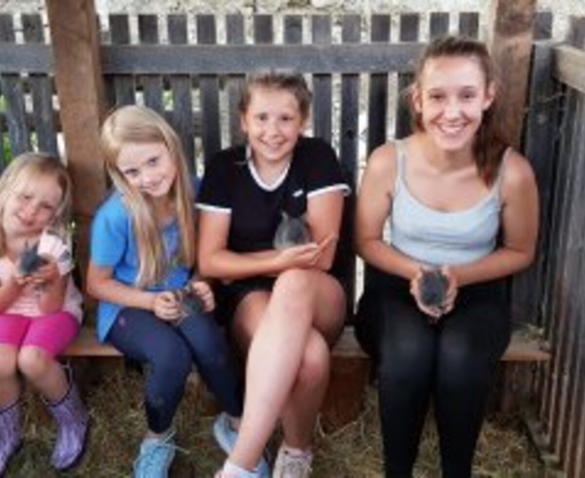 Guests holding small farm animals within an enclosure at the Farm House.