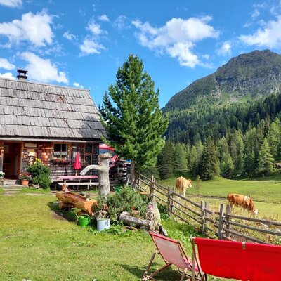 Outdoor area of the farmhouse with garden, seating, and views of the mountains and pastures with cows.