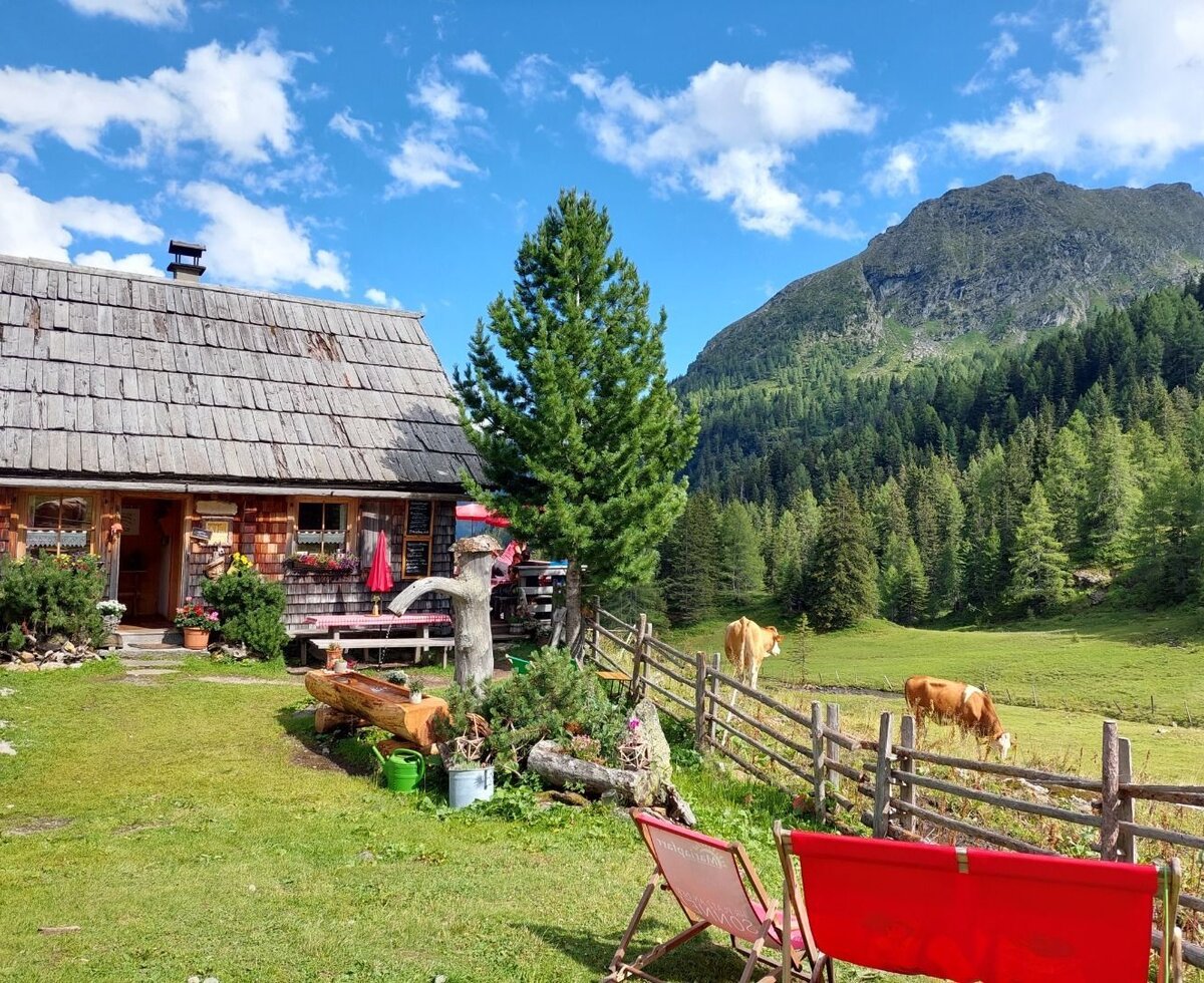 Outdoor area of the farmhouse with garden, seating, and views of the mountains and pastures with cows.