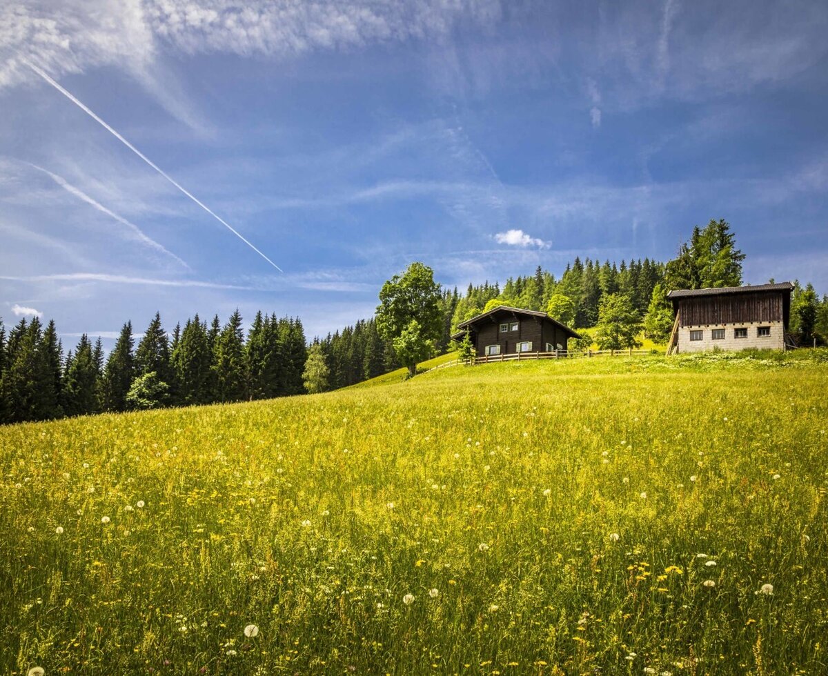 Helfer Alm with stable building