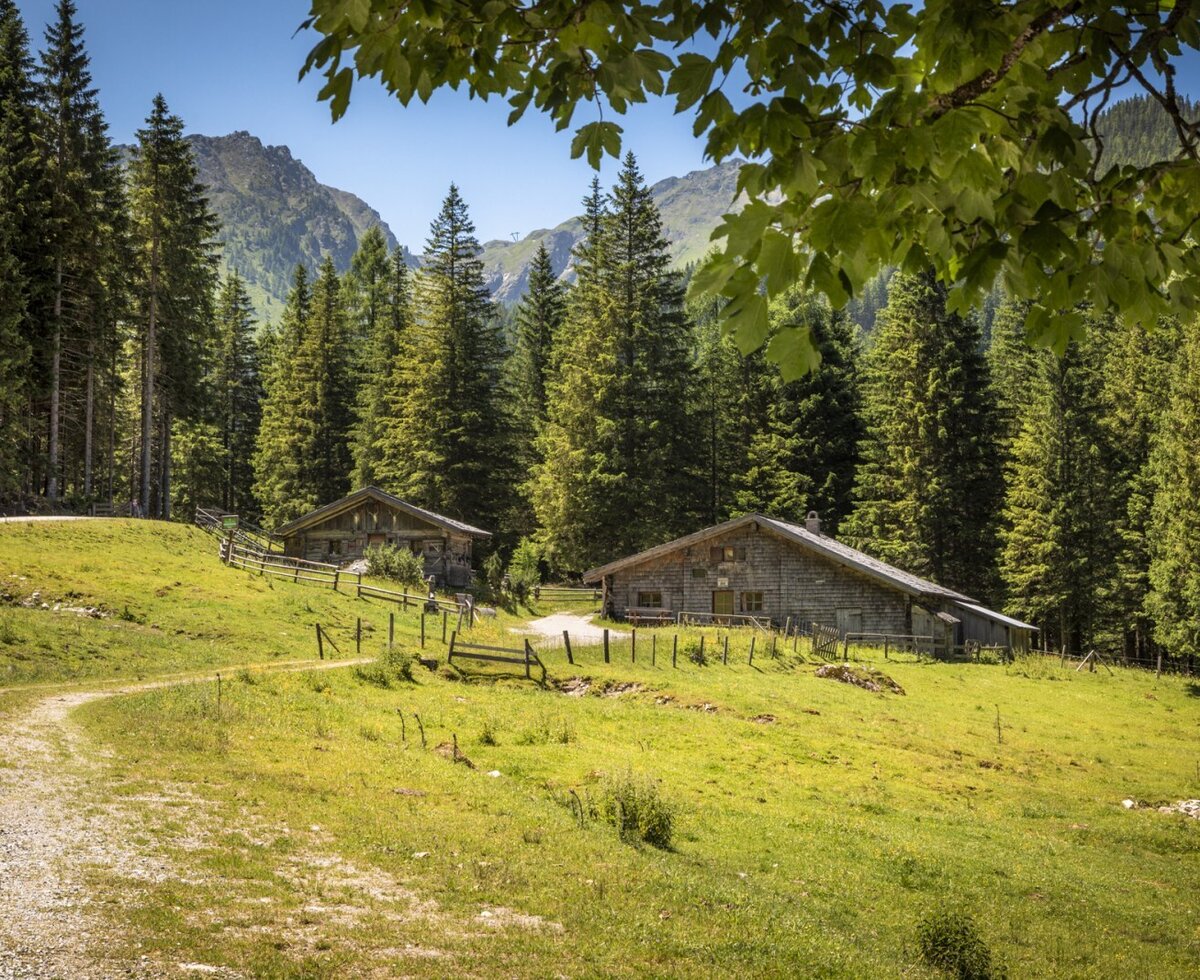 The farmhouse and an adjacent wooden building are located in a grassy alpine landscape with pine forests, mountains, and a gravel path.