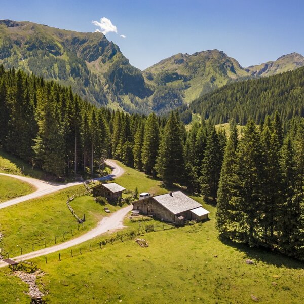 The farmhouse is located in a mountain valley, surrounded by dense pine forests and accessible via unpaved roads.