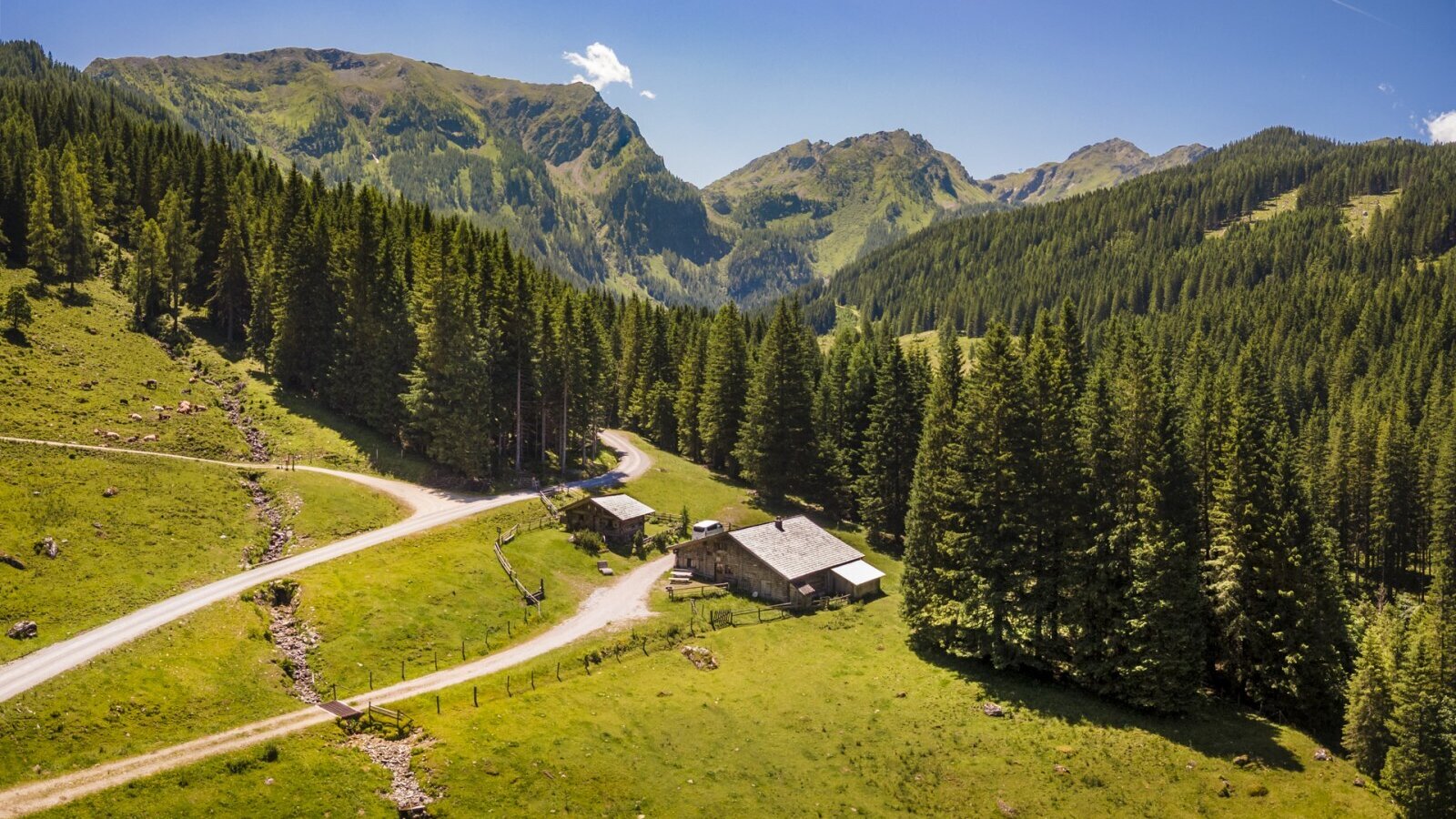 The farmhouse is located in a mountain valley, surrounded by dense pine forests and accessible via unpaved roads.