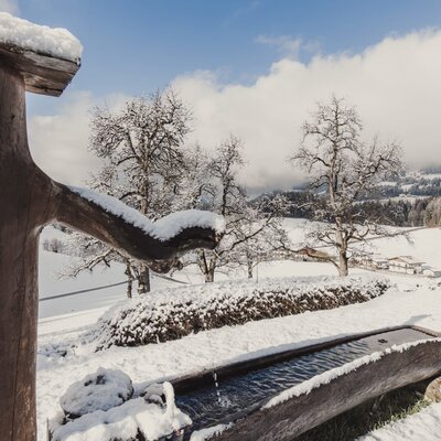 Wooden water trough with flowing water in the snowy winter landscape of the Bed and Breakfast.