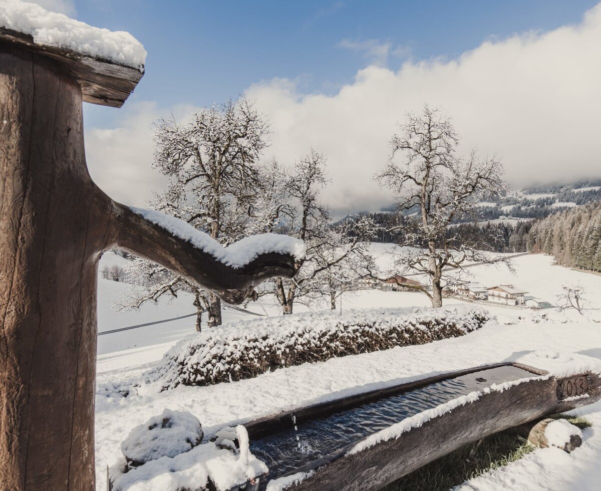 Wooden water trough with flowing water in the snowy winter landscape of the Bed and Breakfast.