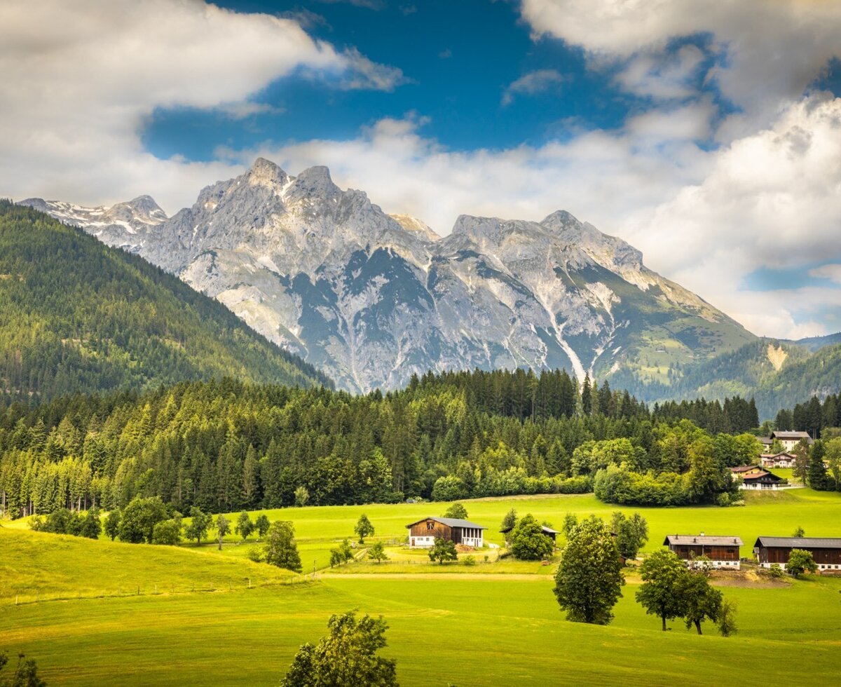 The mountain landscape with green meadows and forests surrounding the Bed and Breakfast.