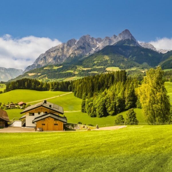 View of the mountain landscape with green meadows and traditional houses in the vicinity of the Bed and Breakfast.