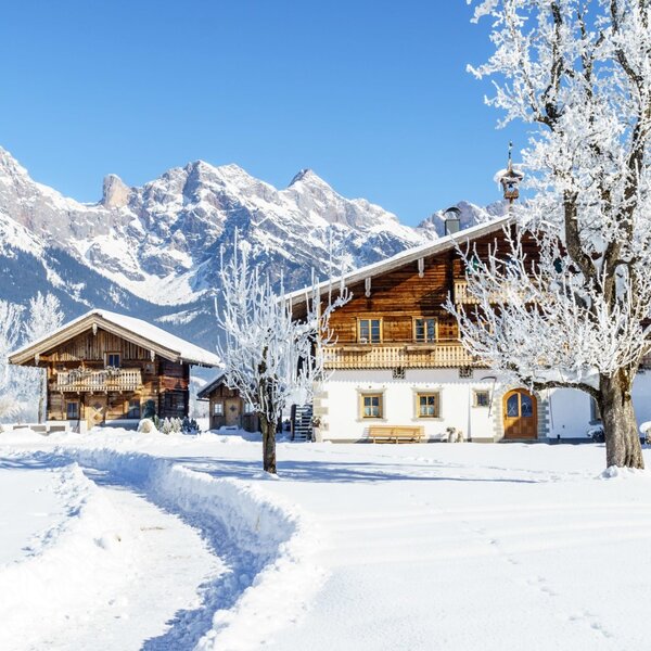 Farmhouse with Chalet (c) Dominik Wartbichler