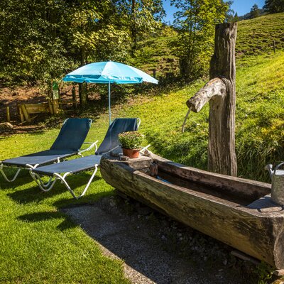The idyllic outdoor area of the Almhütte, featuring a rustic wooden water trough and comfortable sun loungers on a lush lawn.