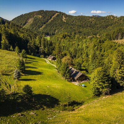 The rustic almhut in an idyllic, secluded location, surrounded by lush mountain meadows and dense forests.